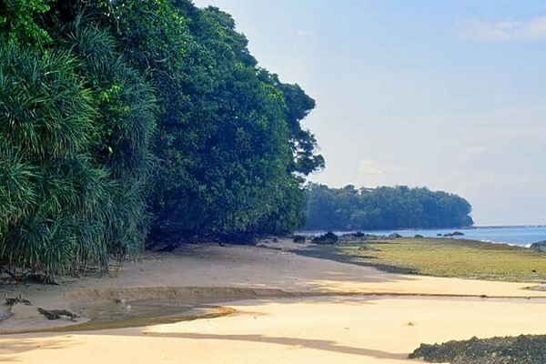 Andaman tour packages with airfare