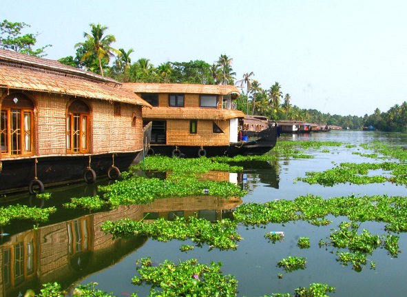 Kerala honeymoon package