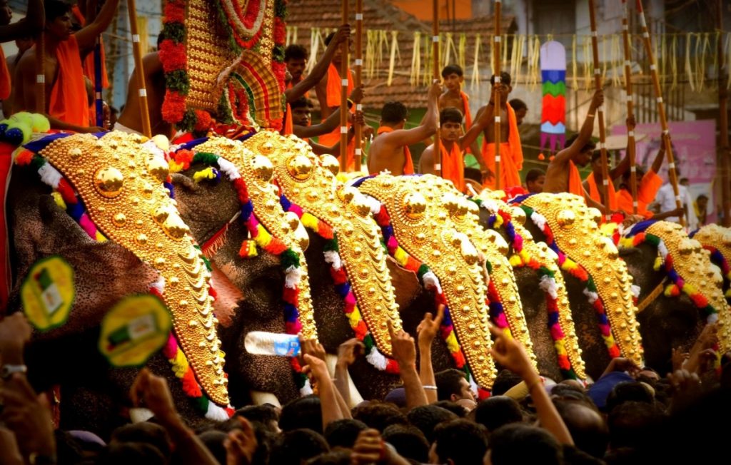 caparisoned-elephants-during-thrissur-festival