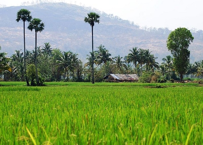 kerala packages