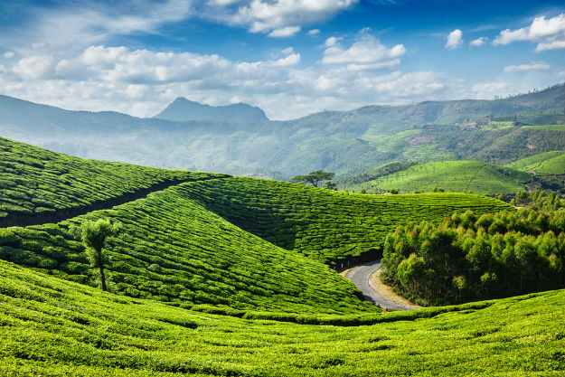 kerala tour packages