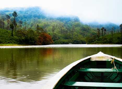 vandanmedu-thekkady-periyar-4